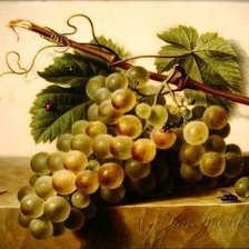 Cross stitch pattern: #143165