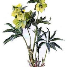 Cross stitch pattern: #143182