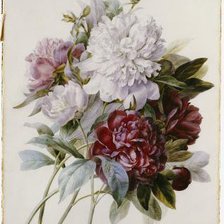 Cross stitch pattern: #143194