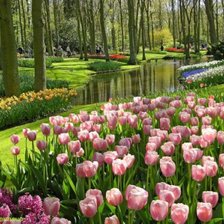 Cross stitch pattern: #143927