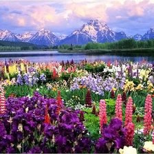 Cross stitch pattern: #143998