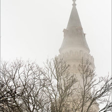 Cross stitch pattern: #144584