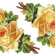 Cross stitch pattern: #144779