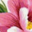 Preview of cross stitch pattern: #145640