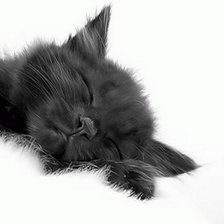 Cross stitch pattern: #147270