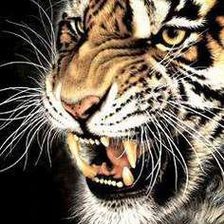 Cross stitch pattern: #147310