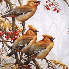 Cross stitch pattern: #149137