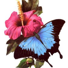Cross stitch pattern: #149172