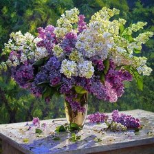 Cross stitch pattern: #151787