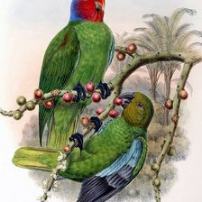 Cross stitch pattern: #151831