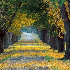 Cross stitch pattern: #152152