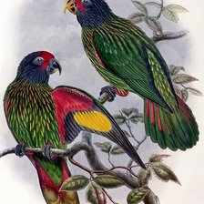 Cross stitch pattern: #152776