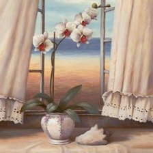 Cross stitch pattern: #153734
