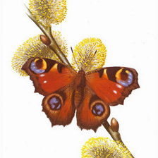 Cross stitch pattern: #154062