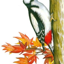 Cross stitch pattern: #154094