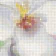 Preview of cross stitch pattern: #154489