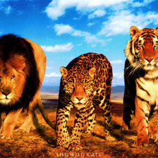 Cross stitch pattern: #156423