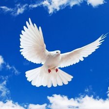 Cross stitch pattern: #156453