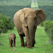 Cross stitch pattern: #156458