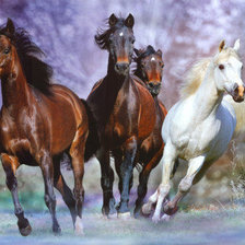 Cross stitch pattern: #156482