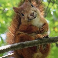 Cross stitch pattern: #156500