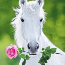 Cross stitch pattern: #156544