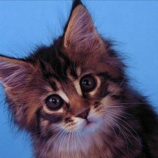 Cross stitch pattern: #156550