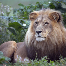 Cross stitch pattern: #156581