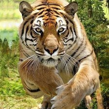 Cross stitch pattern: #156598