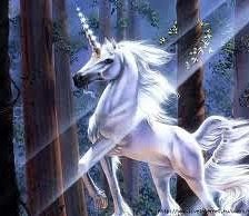 Cross stitch pattern: #156626