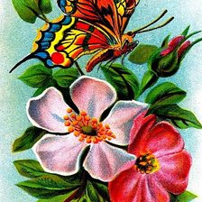 Cross stitch pattern: #156895