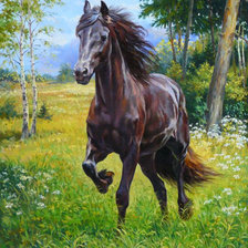 Cross stitch pattern: #157505