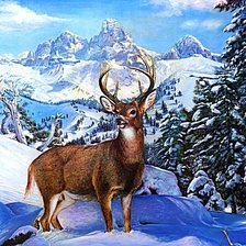Cross stitch pattern: #158494