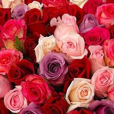 Cross stitch pattern: #159200