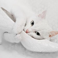 Cross stitch pattern: #159682