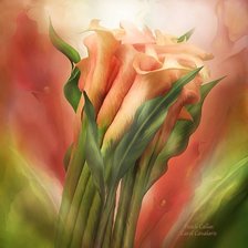 Cross stitch pattern: #161096