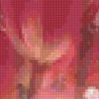 Preview of cross stitch pattern: #161100