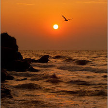 Cross stitch pattern: #161225