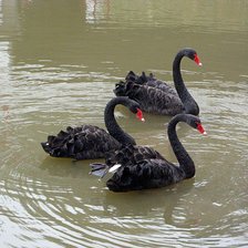 Cross stitch pattern: #161965