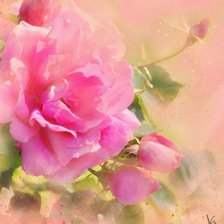 Cross stitch pattern: #162144