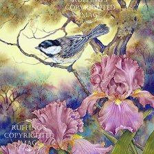 Cross stitch pattern: #162416