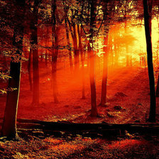 Cross stitch pattern: #162474