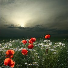 Cross stitch pattern: #162554