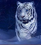 Cross stitch pattern: #162685
