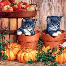 Cross stitch pattern: #162736