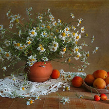 Cross stitch pattern: #163035