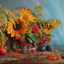 Cross stitch pattern: #163084