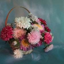 Cross stitch pattern: #163085