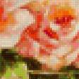 Preview of cross stitch pattern: #163086