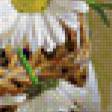 Preview of cross stitch pattern: #163089
